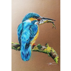 Kingfisher Bird Painting Original Art Birds Pastel Painting Wall Art by PaintingViKArt