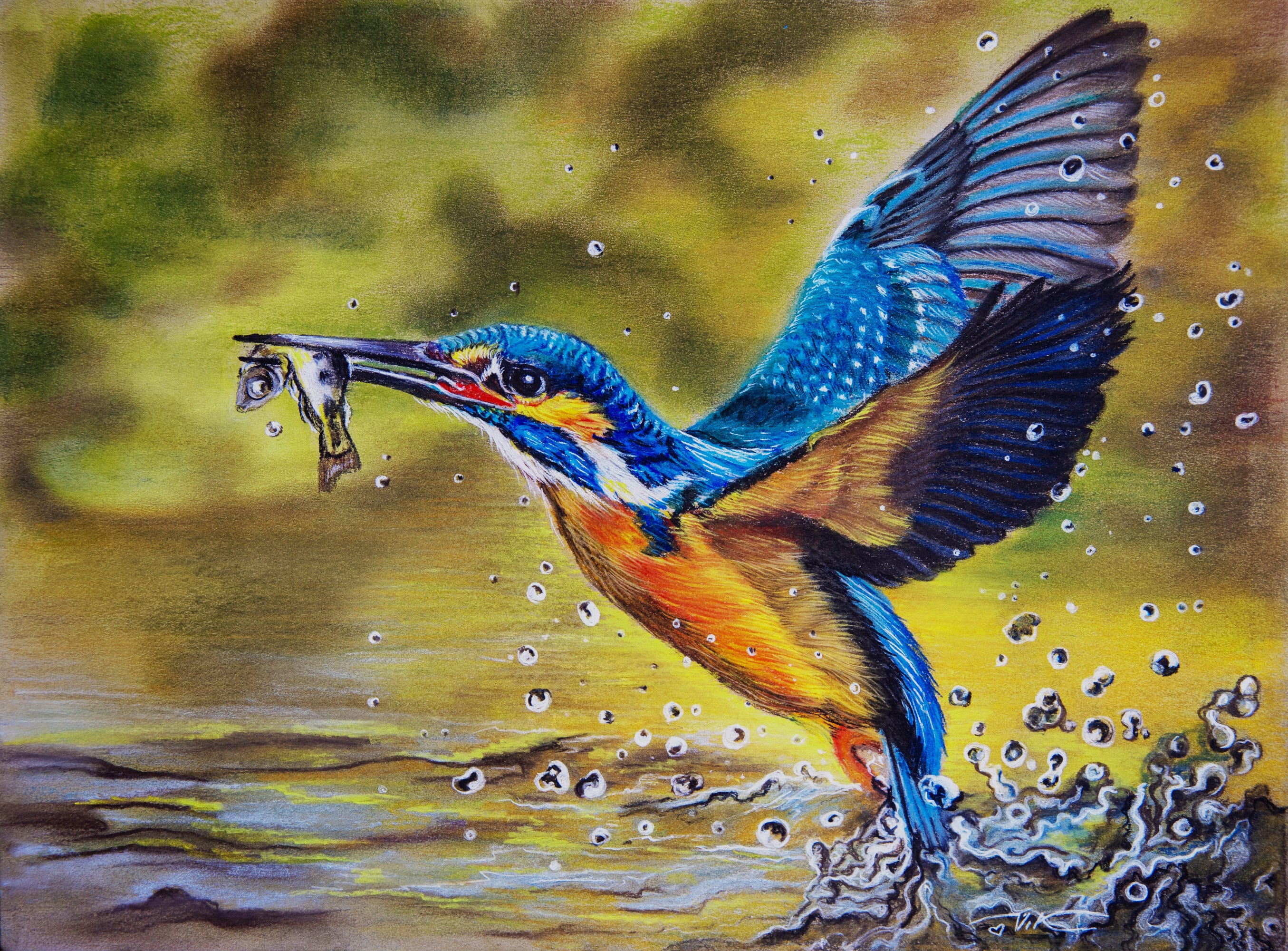 Oil Pastel Paintings Of Birds