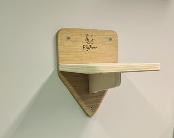 Wall Mounted Cat Shelves