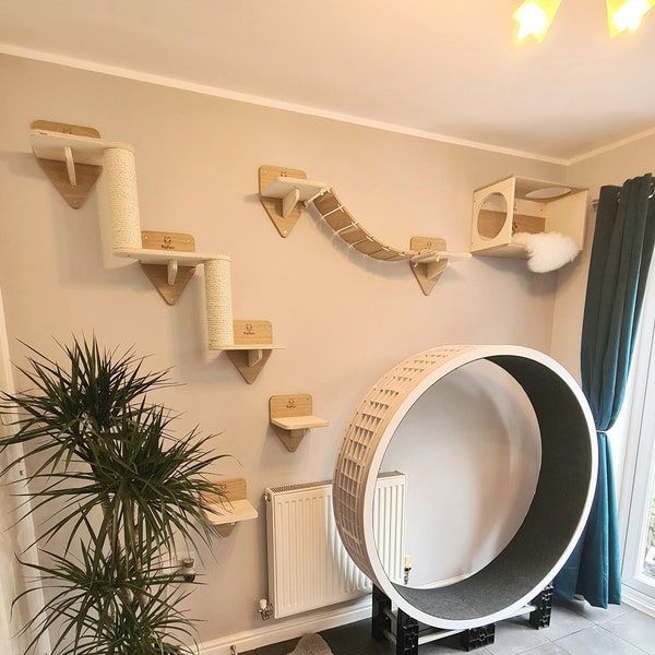 Moderner großer an der Wand befestigter Katzenspielplatz