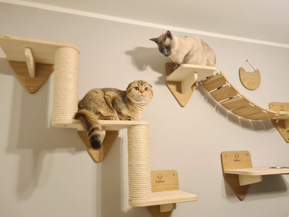 Parco giochi per gatti da parete in 5 pezzi Scale per gatti Ponte per gatti  2x scaffali Letto per arrampicata REGALO GRATUITO scaffale per dolcetti  valore 49,99 -  Italia