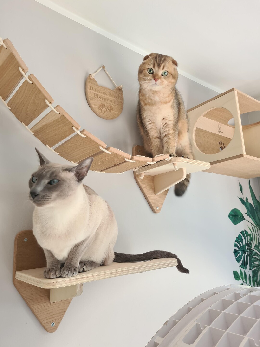 Existing Cat Set Modern Wall Cat Set - Etsy UK
