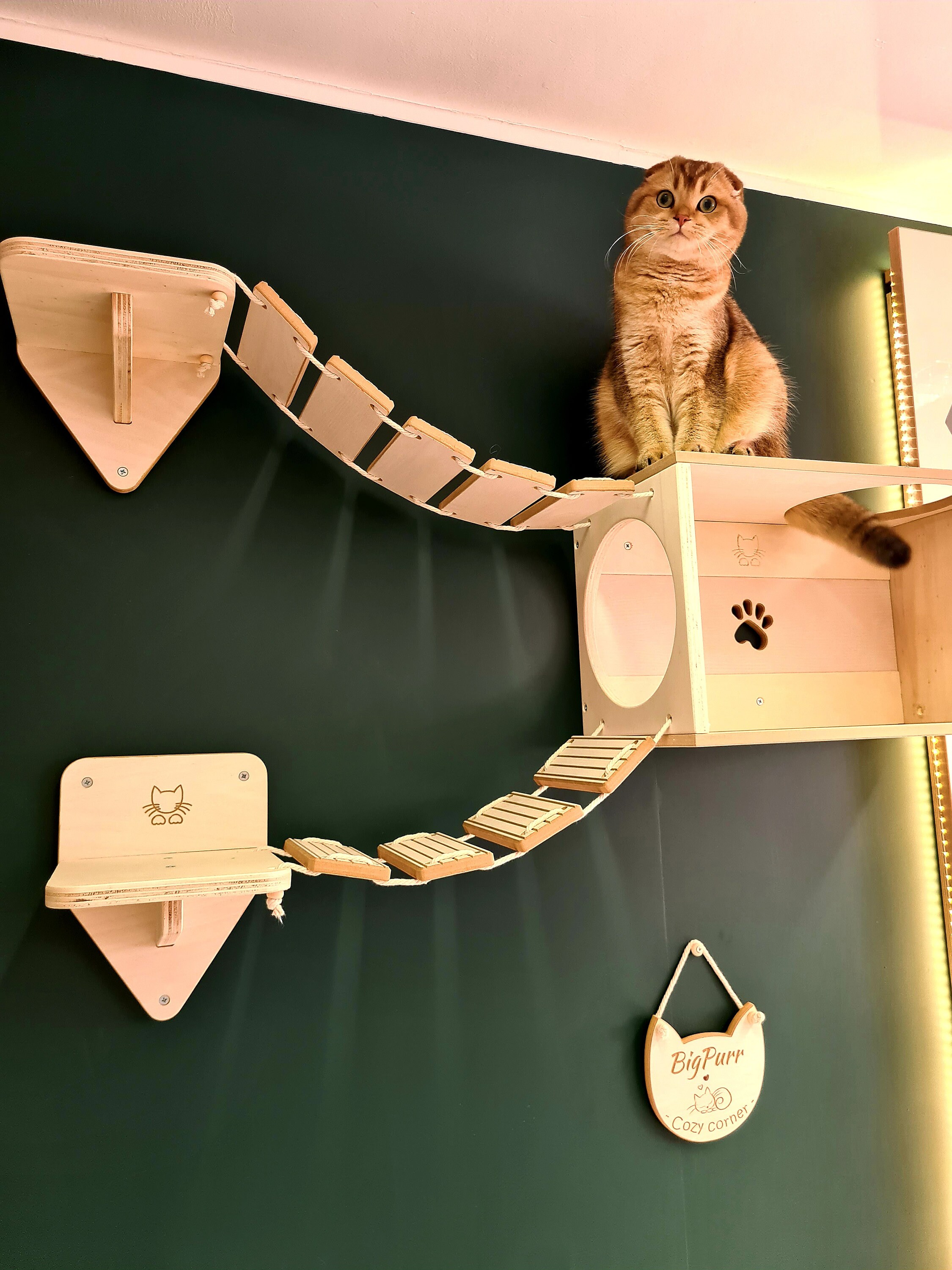 Bigpurr Cozy Corner Wall Cat Playground Etsy UK