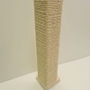 Pu&ograve; includere: Un tiragraffi per gatti alto e beige con una base quadrata avvolta in corda di sisal naturale.