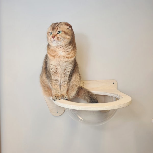 Wall Cat Dome Bed Shelf