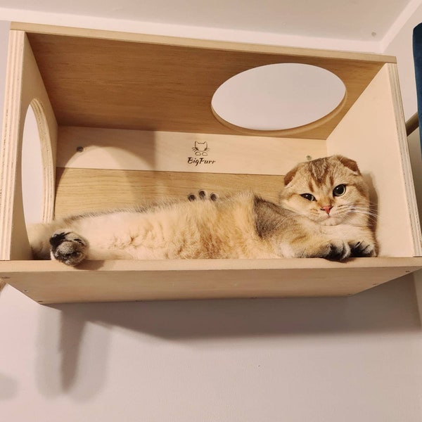 Wall Cat Climbing Shelf Box Cat Bed