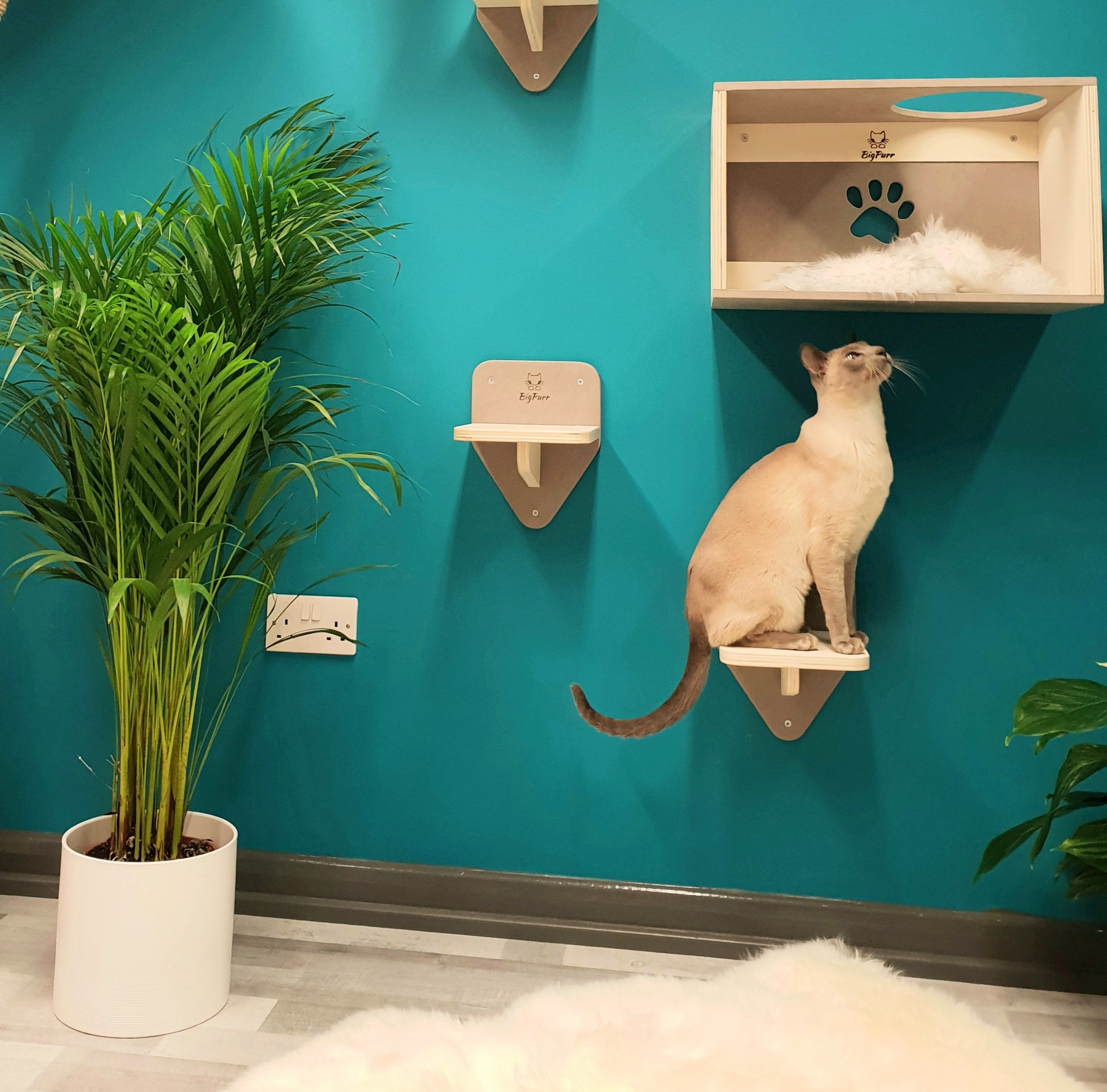 Cat Wall Shelf Cat Step Etsy UK