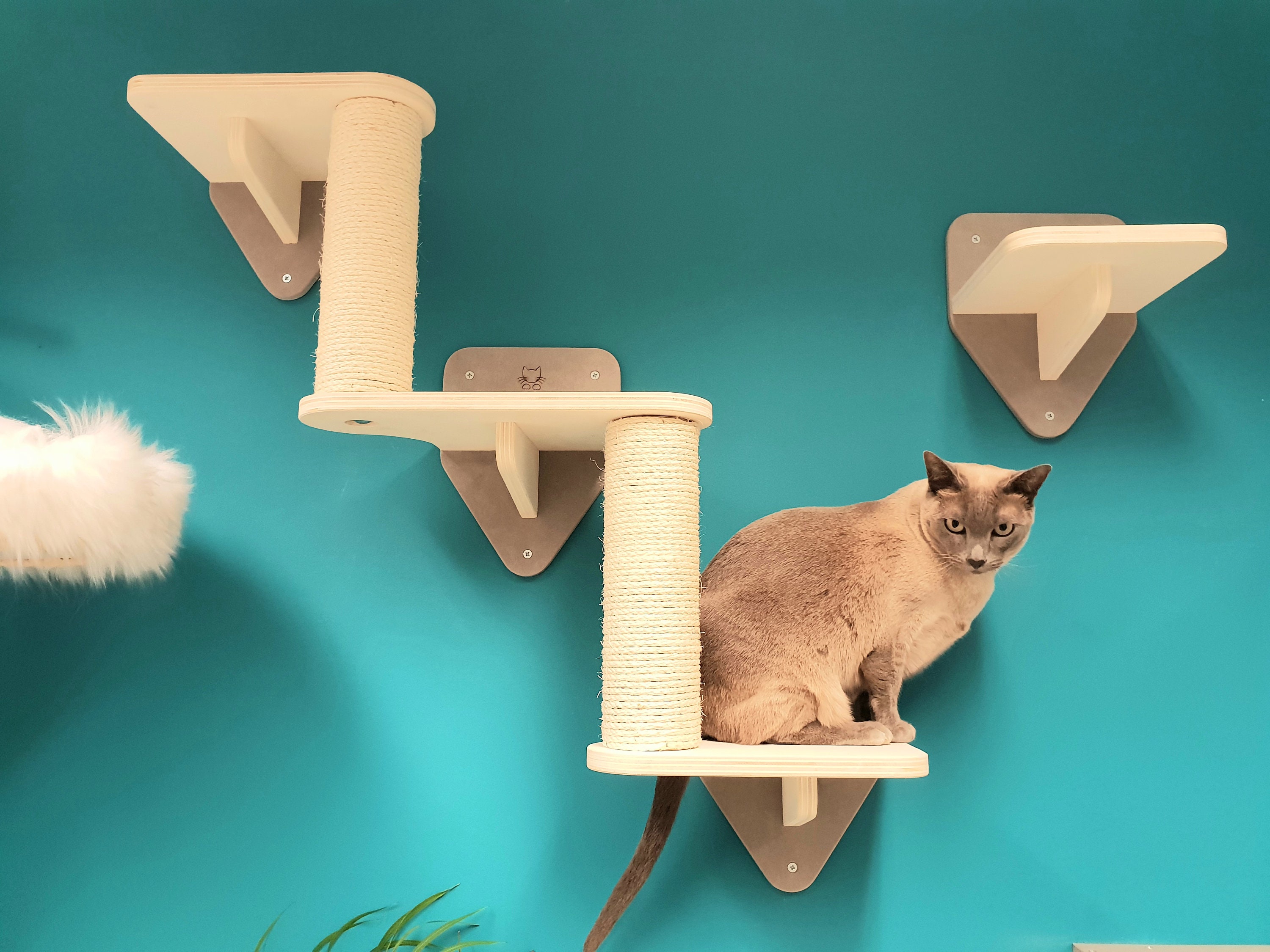 3 Piece Wall Cat Playground Cat Stairs Cat Bridge Shelf Etsy