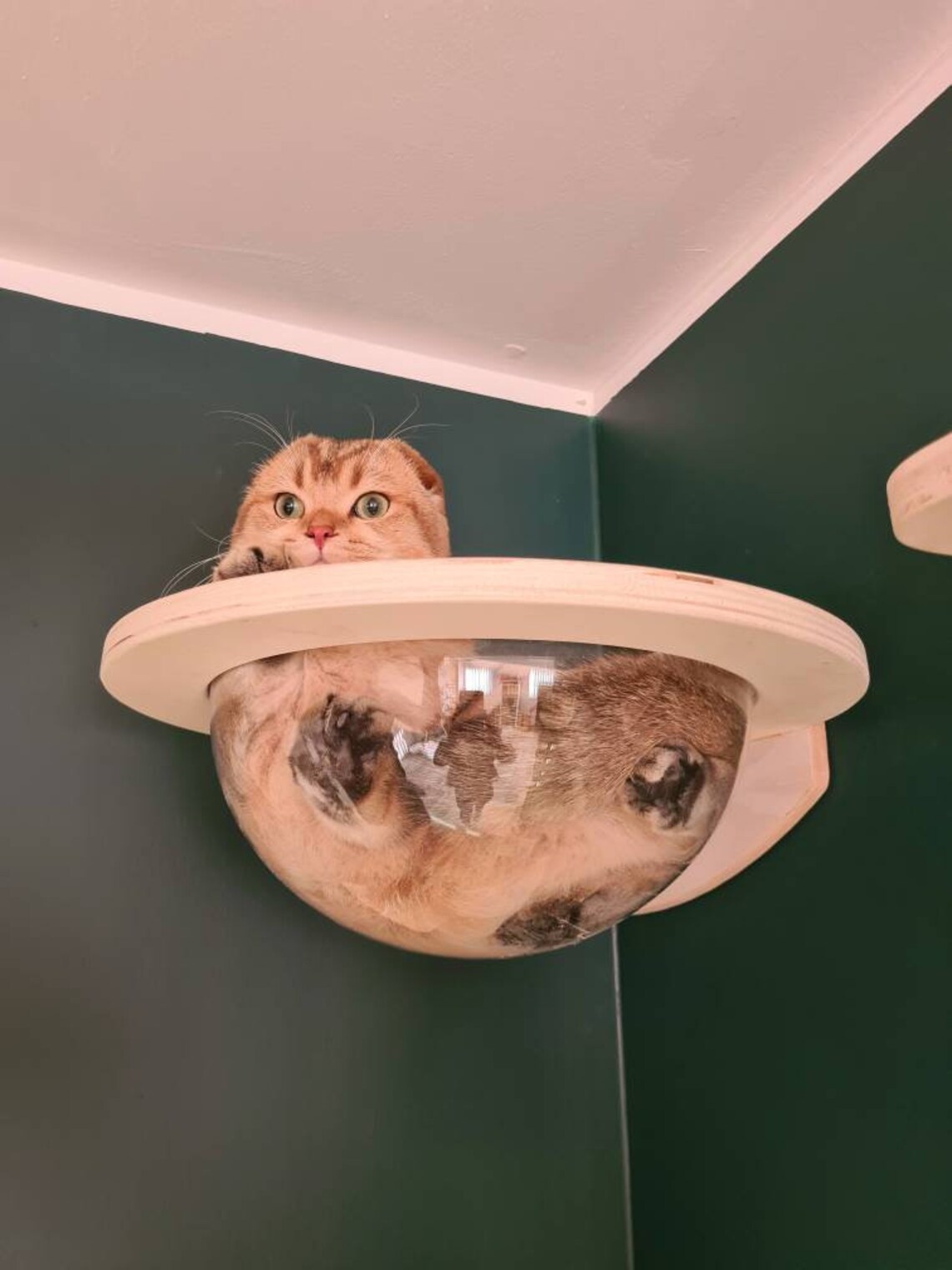 Wall Corner Dome Cat Bed Etsy