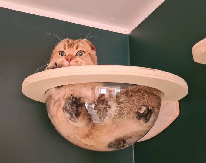 Wall Corner Dome Cat Bed Etsy