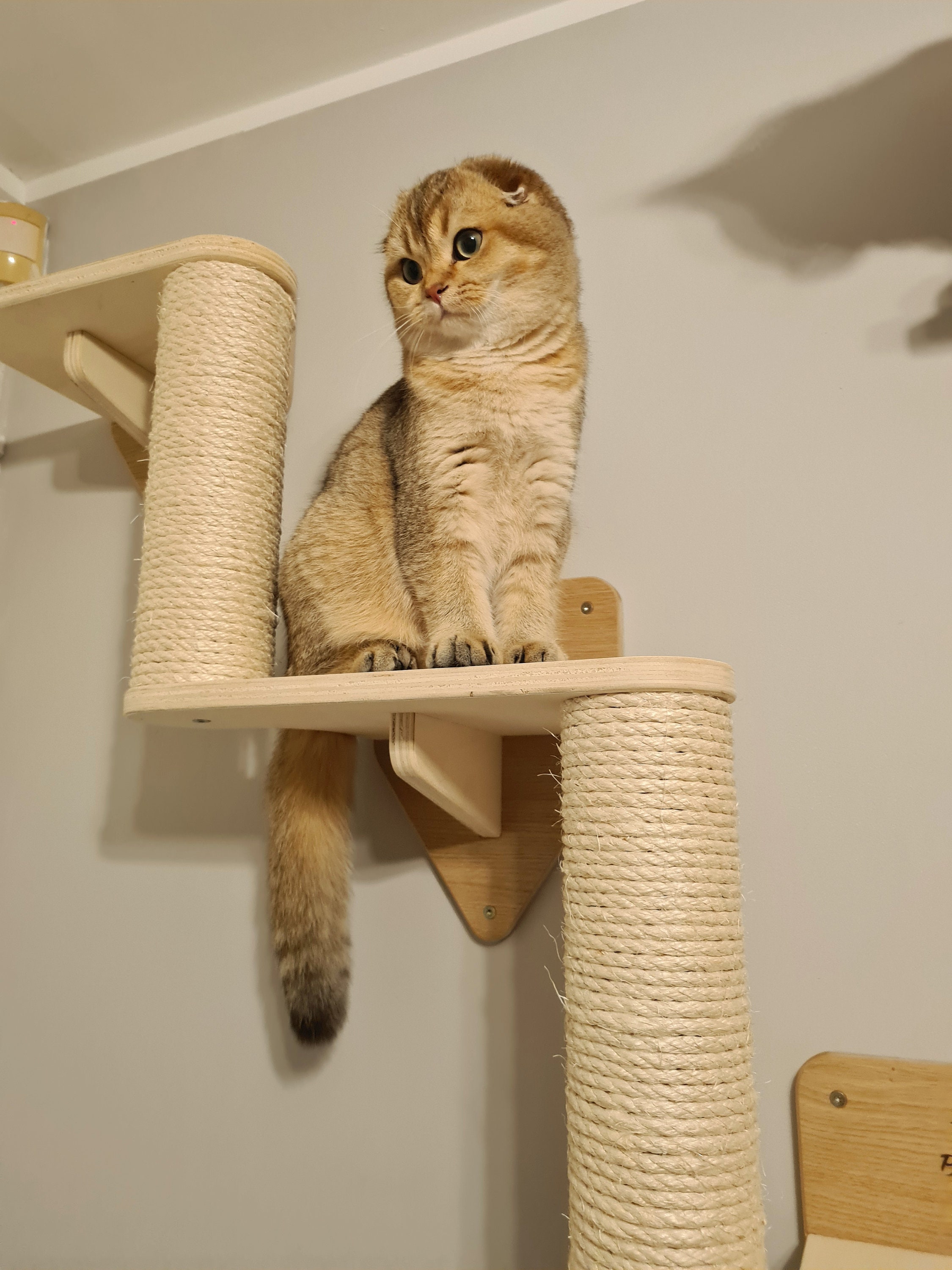 Cat Wall Stairs Climbing Steps Shelves Scratcher Etsy UK