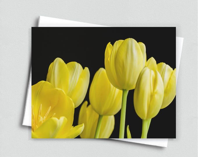 Yellow Tulips Blank Notecard, Floral Stationery, Greeting Card Set