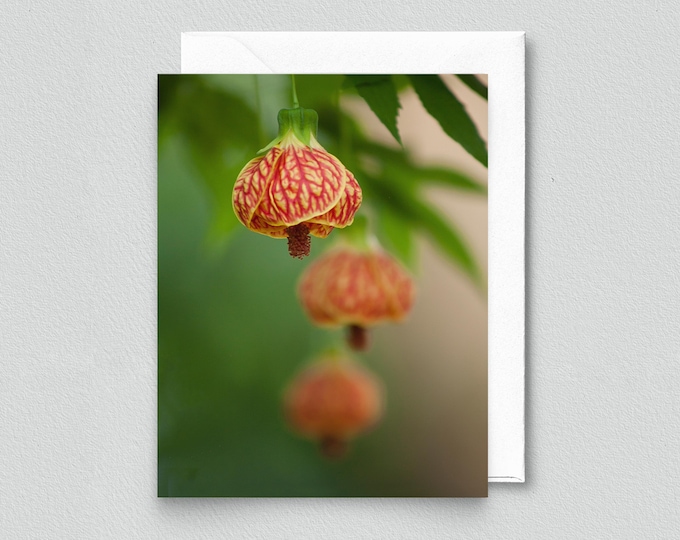 Blank Floral Notecard - Stationery, Botanical Greeting Card