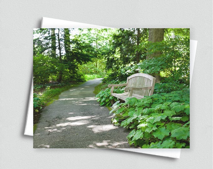 Park Bench Notecard: Solitude Greeting Card