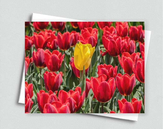 Dare to Be Different Blank Notecard, Tulip Stationery, Greeting Card Set