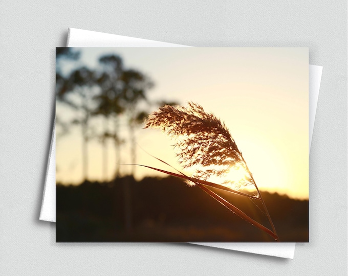 Sunset on the Bay Blank Notecard - Stationery