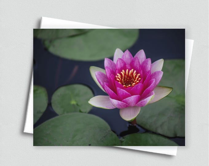 Pink Waterlily Blank Notecard, Floral Stationery Set, Botanical Greeting Card