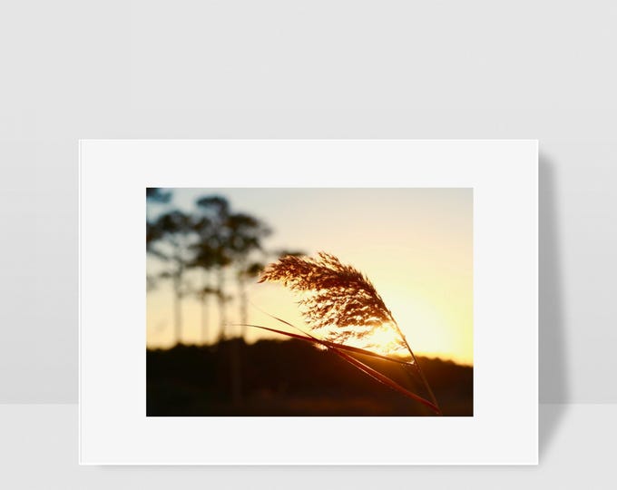 Sunset on the Bay Photography Print: Fenwick Island Beach Decor