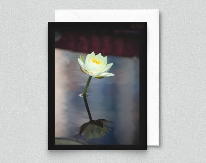 White Waterlily Reflection Blank Notecard - Stationery, Floral Greeting Card, Botanical Card