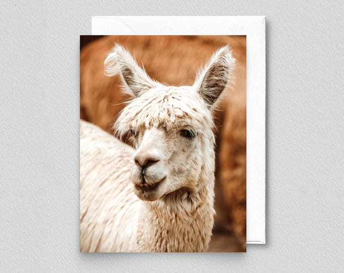 Niki the Alpaca Blank Notecard - Stationery, Farm Animals Greeting Card