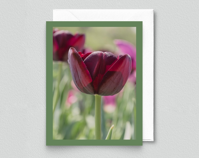 Soaking Up the Sun Tulip Blank Notecard - Stationery, Botanical Card, Floral Greeting Card