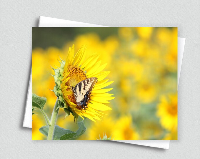 Sunny Days Ahead Blank Notecard - Stationery, Butterfly, Greeting Card
