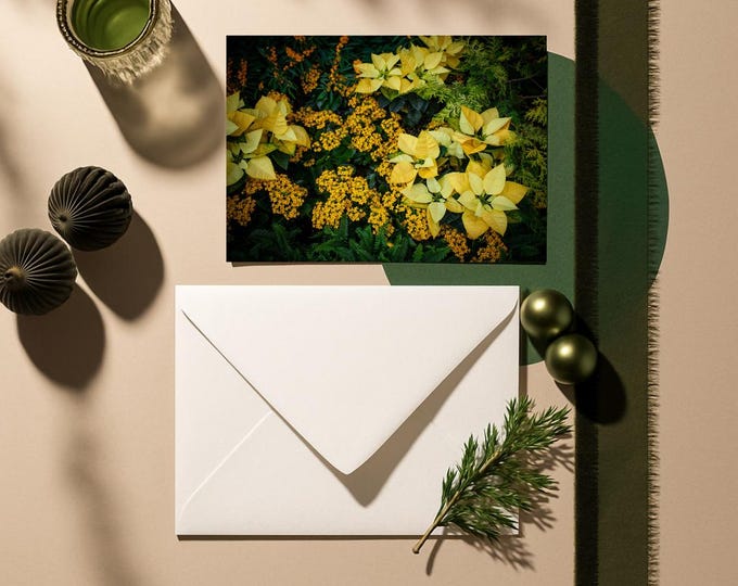 Yellow Poinsettia Christmas Card: Holiday Greeting
