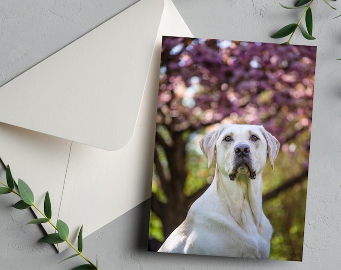 Faithful Friend Yellow Labrador Blank Notecard, Stationery, Dog Greeting Card