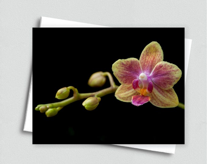 Orchid Blank Notecard - Stationery, Botanical Card, Floral Greeting Card