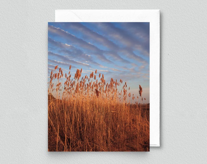 Golden Hour on the Bay Blank Notecard - Beach Stationery, Bayside, Greeting Card, Fenwick Island Gifts
