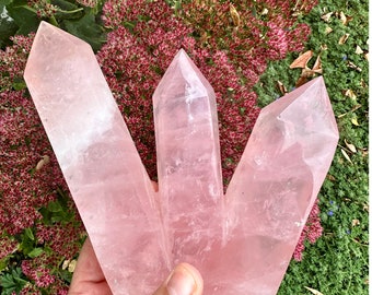 Rose Quartz Crystal Triple Point Tower Madagascar Gem Grade Encoded to Mother Mary Spiritual Gift #359