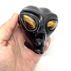Peut inclure: Sculpture de tête d'extraterrestre en obsidienne noire avec des yeux en pierre de œil de tigre.