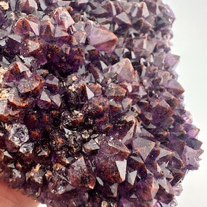 May include: A large amethyst cluster with a deep purple color and a reddish-brown inclusion. The cluster is made up of many small, pointed crystals.