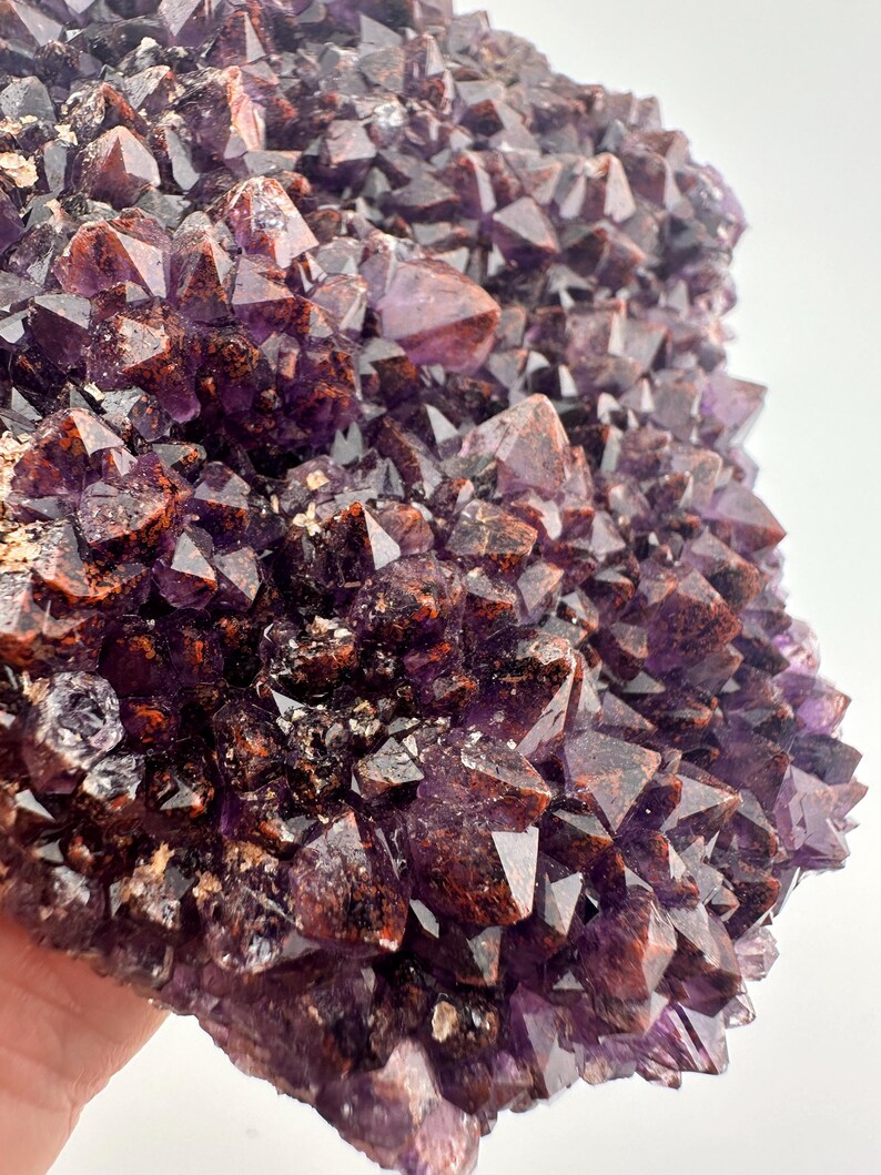 May include: A large amethyst cluster with a deep purple color and a reddish-brown inclusion. The cluster is made up of many small, pointed crystals.