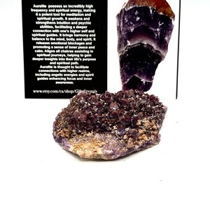 May include: Auralite crystal cluster with a purple and brown color scheme. The crystal is on a white background with a black card that describes the properties of the crystal. The card reads "Auralite possess an incredibly high frequency and spiritual energy, making it a potent tool for meditation and spiritual growth. It awakens and strengthens intuition and psychic abilities, facilitating a deeper connection with one's higher self and spiritual guides. It brings harmony and balance to the mind, body, and spirit. It releases emotional blockages and promoting a sense of inner peace and calm. Aligns all chakras assisting in spiritual journeys, helping to gain deeper insights into their life's purpose and spiritual path. Auralite is thought to facilitate connections with higher realms, including angelic energies and spirit guides enhancing focus and inner awareness. www.etsy.com/ca/shop/Gift Crystals"