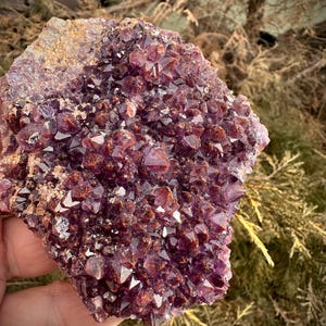 May include: A large amethyst cluster with a deep purple color and a reddish-brown hue. The cluster is made up of many small, pointed crystals.