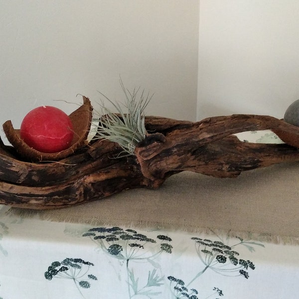 bougeoir en bois flotté avec plantes tillandsia