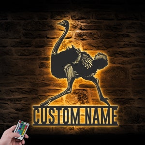 Custom Ostrich Metal Wall Art LED Light Personalized Funny Emus Bird Lover Name Sign Home Decor Flightless Bird Decoration Christmas Xmas