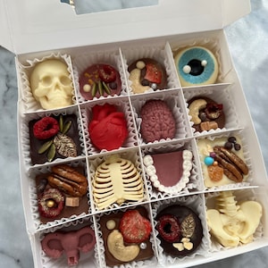 Chocolate Gift Set/Anatomy themed set/Brain/Heart/Skulls/Eyeball/Teeth/Doctor/Nurse/Halloween/Fun gift/Medicine/NHS