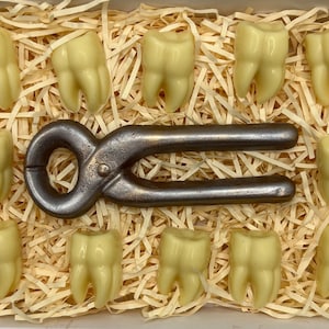 May include: A box containing cream-coloured, tooth-shaped sweets and a vintage dental tool. The sweets are arranged around the tool on a bed of shredded paper. The dental tool is a dark metallic colour.