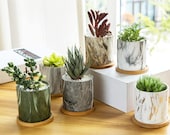 House Office Decor Gift - 6 Pack Succulent Plant Pots, 3.1 inch