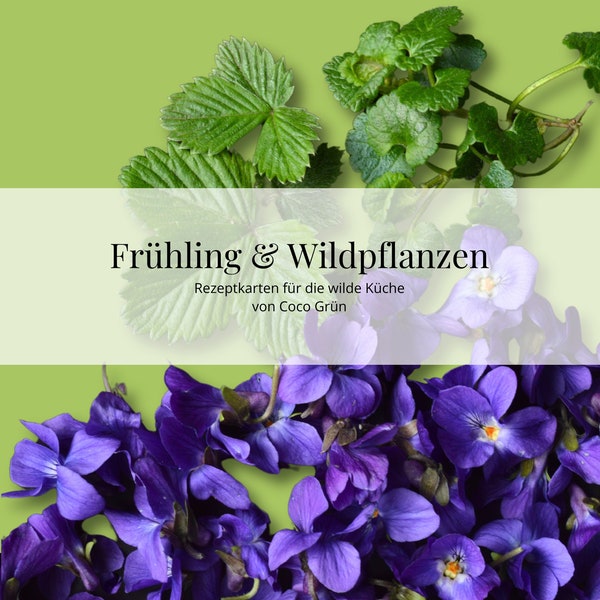 Rezeptkarten-Set: Frühling & Wildpflanzen (Print)