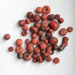 Lot of Vintage North African Coral