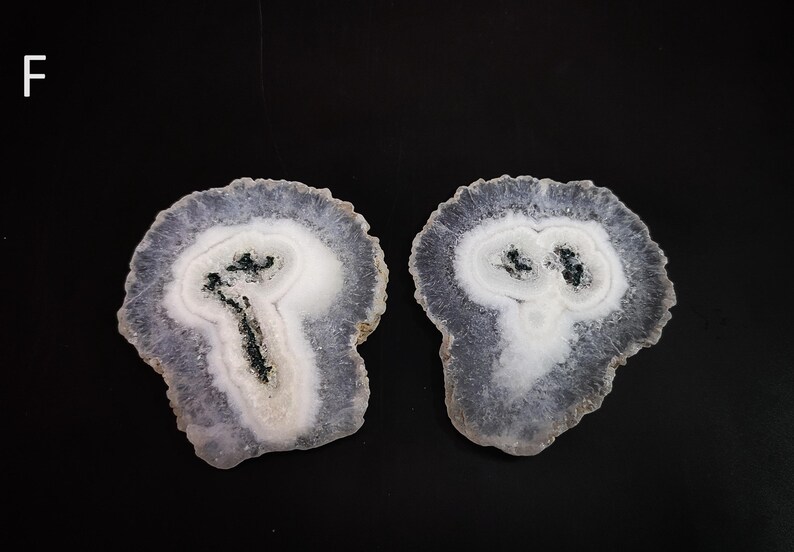 May include: Two white agate slices with a dark gray, almost black, center. The agate slices are translucent and have a layered, banded appearance.