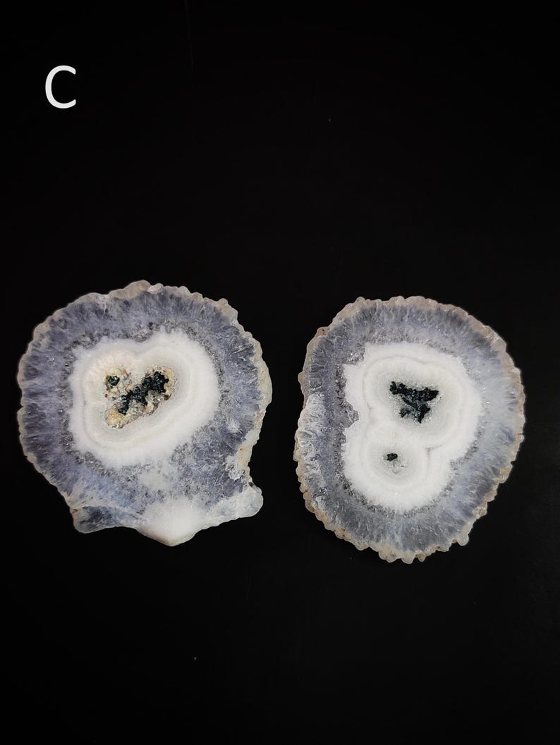 May include: Two agate slices with a white center and a purple outer edge. The agate slices have a natural, organic shape.