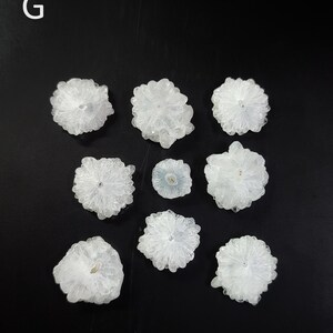 May include: Nine white crystal flower-shaped clusters with a small hole in the center. The clusters are arranged in a grid pattern on a black background.