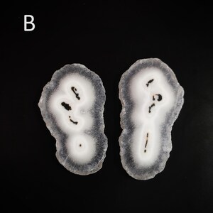May include: Two white agate slices with black markings, resembling a pair of eyes. The slices are irregularly shaped and have a translucent appearance.