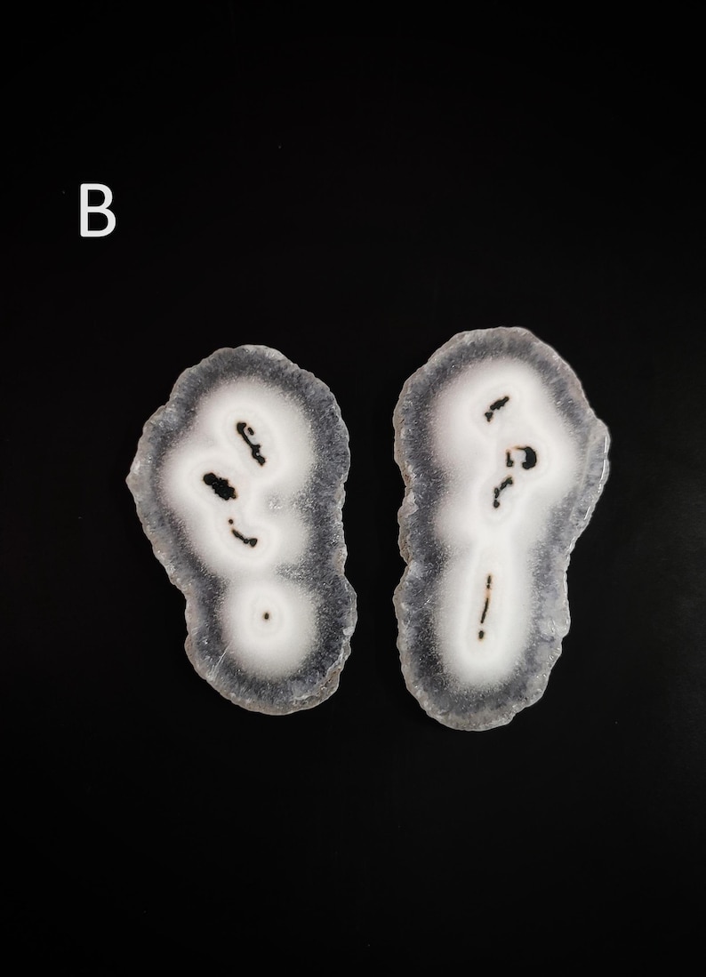 May include: Two white agate slices with black markings, resembling a pair of eyes. The slices are irregularly shaped and have a translucent appearance.