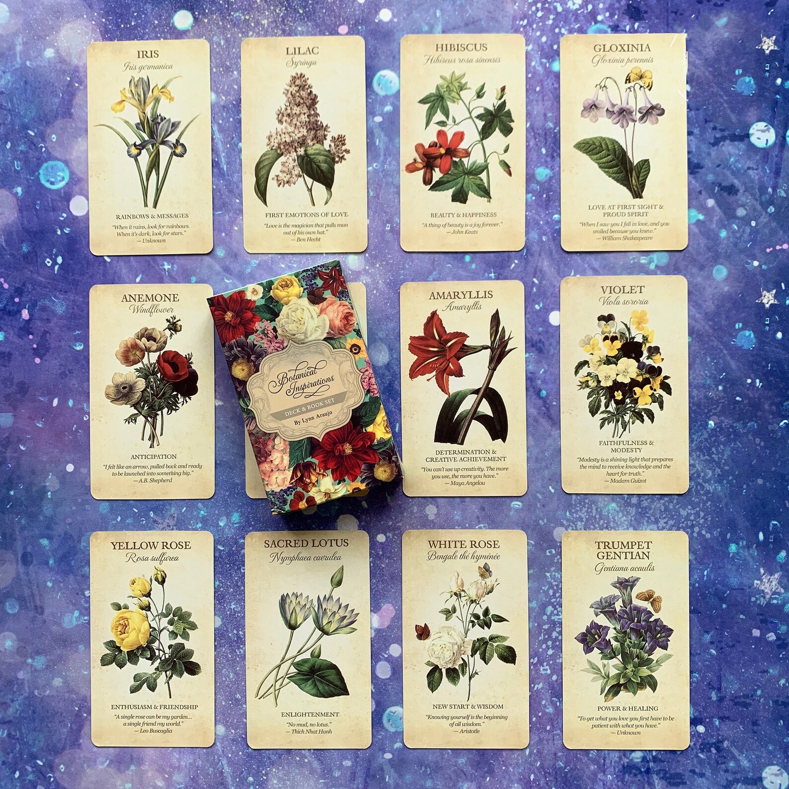Botanical Inspirations Deck 44PCS Oracle Card Divination Etsy
