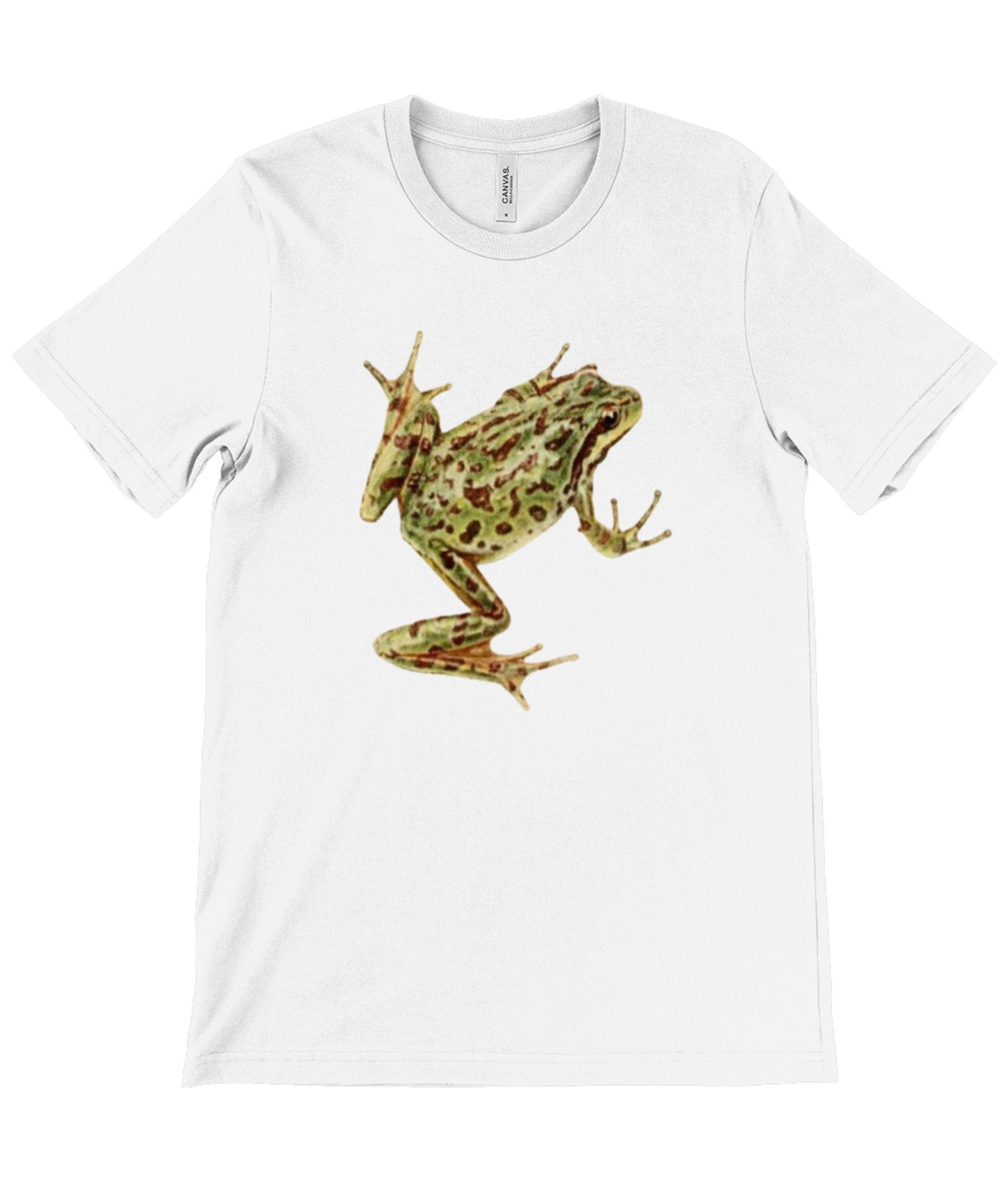 Frog Tshirt Casual Tee Unisex Top Frogs Tree Frog Etsy